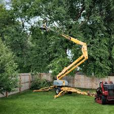 Best Storm Damage Tree Cleanup  in Nicollet, MN