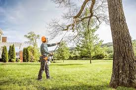 How Our Tree Care Process Works  in  Nicollet, MN