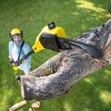 Best Tree and Shrub Care  in Nicollet, MN